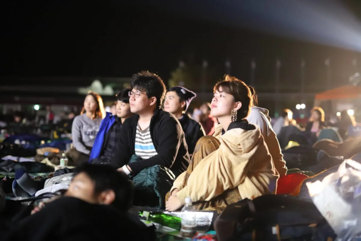 定価 夜空と交差する森の映画祭 2枚 hiperlafuente.com