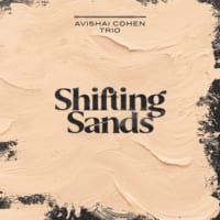 Avishai Cohenアヴィシャイ・コーエン shifting sands