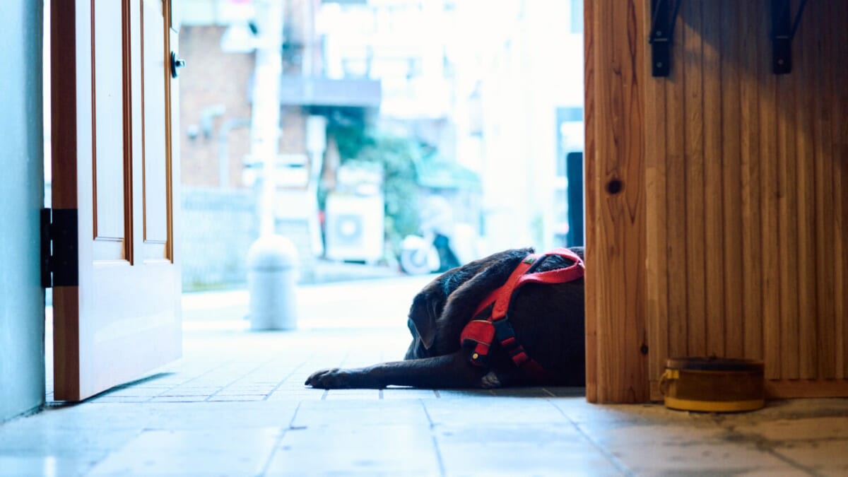 ハシエンダコーヒー_写真6