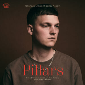 Rasmus Oppenhagen Krogh『pillars』